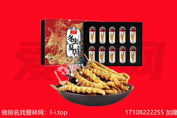 阜新回收虫草.jpg